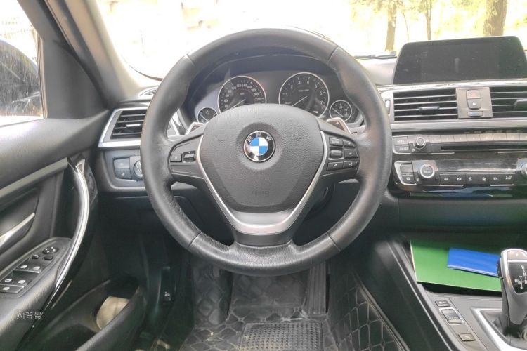 BMW 3 Series 2016 car image #12