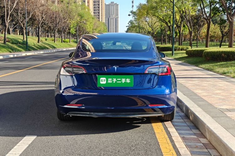 Tesla Model 3 2020 car image #6