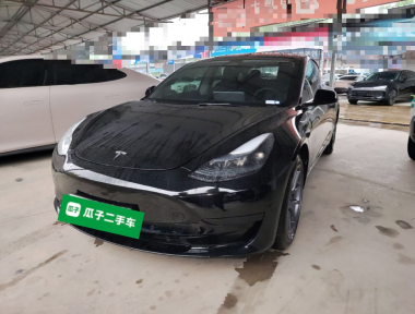 Tesla Model 3 2022 Tesla Model 3 2022 car image