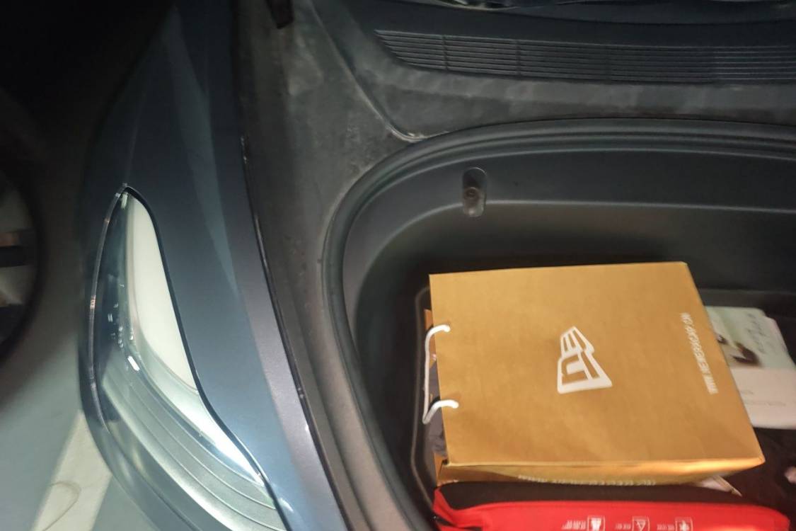 Tesla Model 3 2020 #11 Tesla Model 3 2020 car image #11