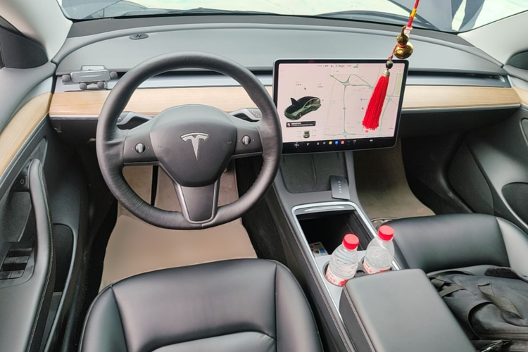 Tesla Model 3 2021 #10 Tesla Model 3 2021 car image #10