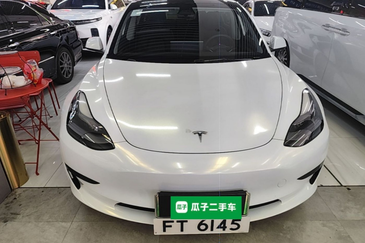 Tesla Model 3 2021 #3 Tesla Model 3 2021 car image #3