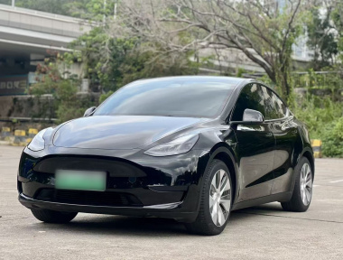 Tesla Model Y 2023 Tesla Model Y 2023 car image