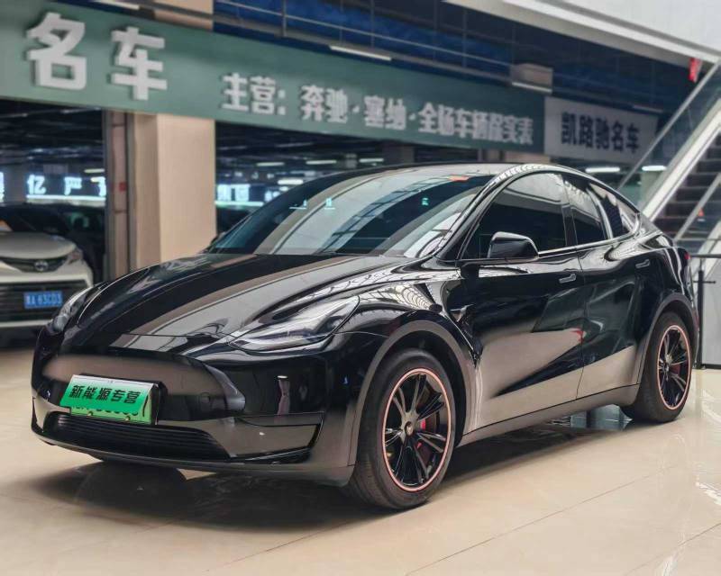 Tesla Model Y 2023 #3 Tesla Model Y 2023 car image #3