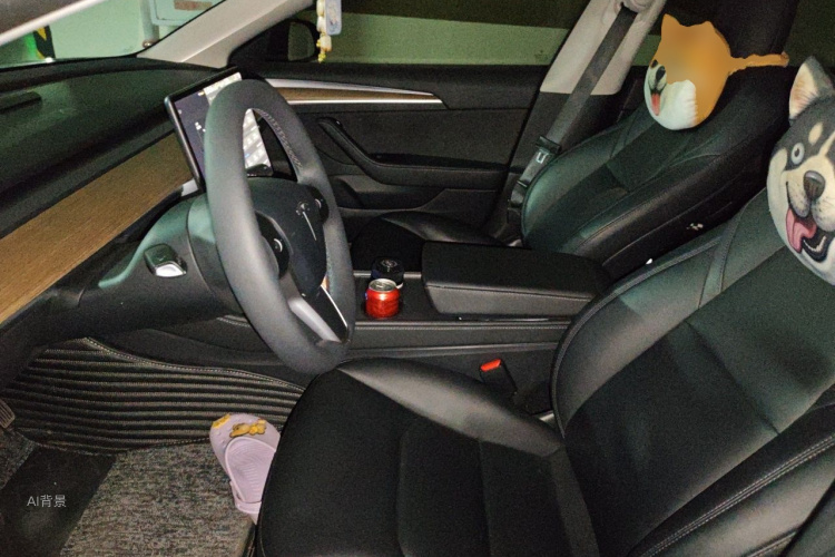 Tesla Model 3 2021 #17 Tesla Model 3 2021 car image #17