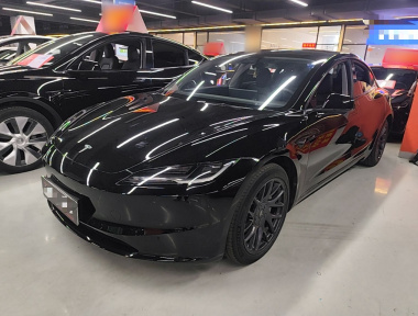 Tesla Model 3 2024 Tesla Model 3 2024 car image
