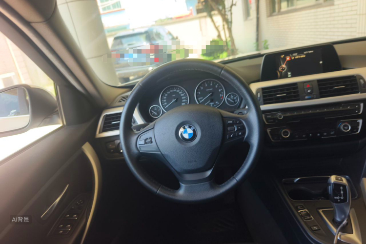 BMW 3 Series 2016 car image #12