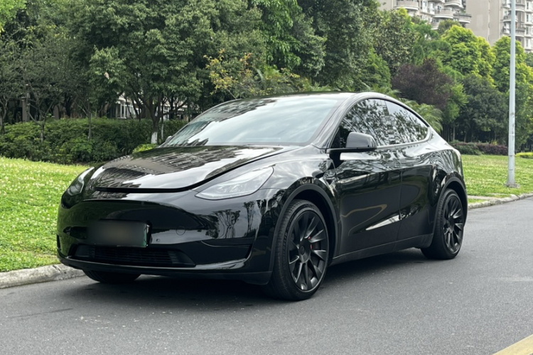 Tesla Model Y 2022 car image #2