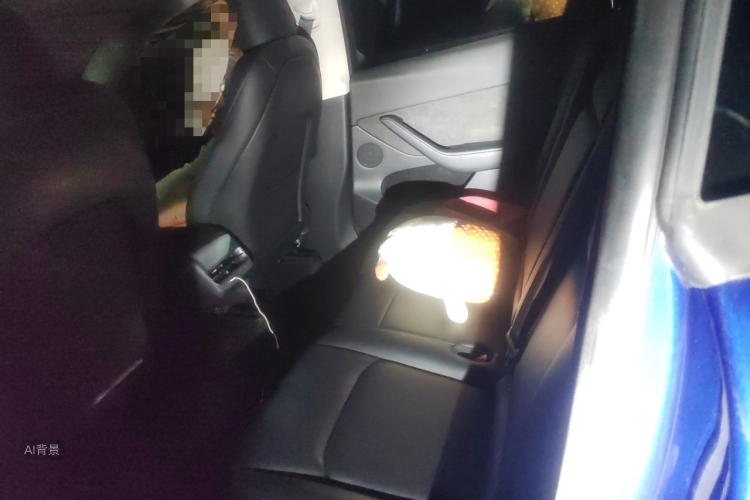 Tesla Model Y 2022 #19 Tesla Model Y 2022 imagen de coche #19