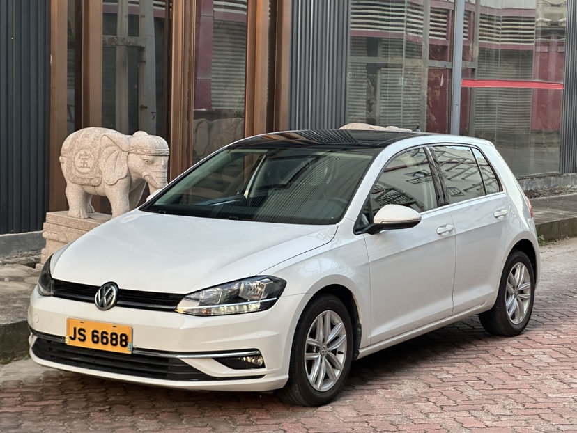Volkswagen Golf 2019 Volkswagen Golf 2019 car image