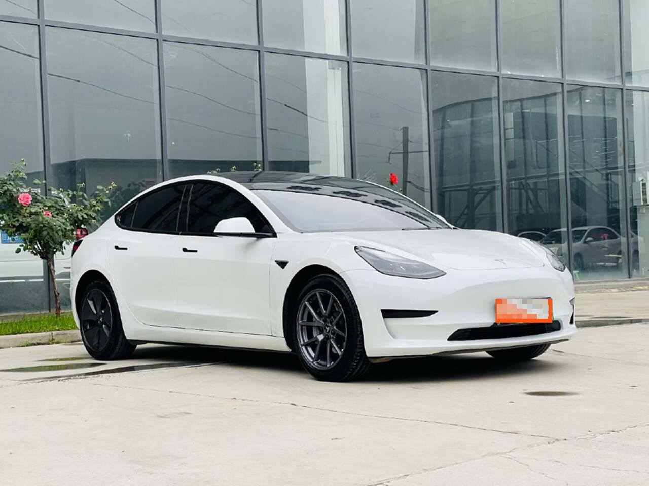 Tesla Model 3 2023 #11 Tesla Model 3 2023 car image #11