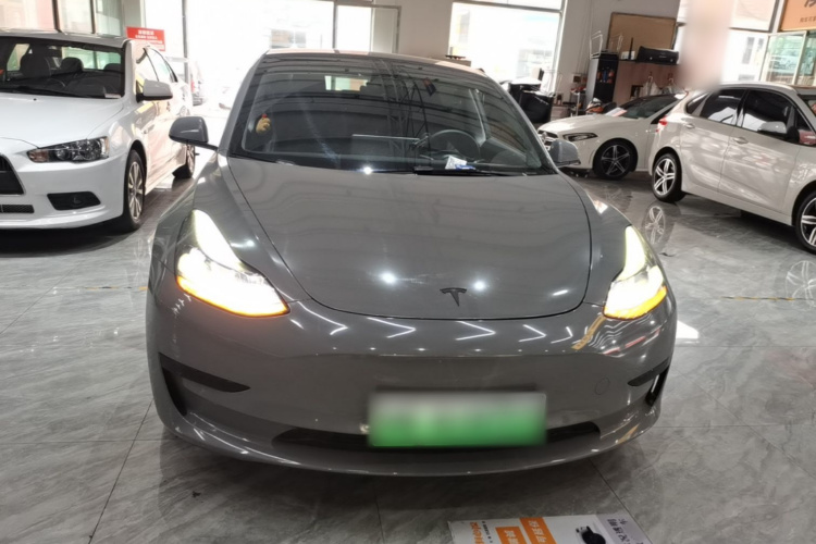 Tesla Model 3 2021 car image #3