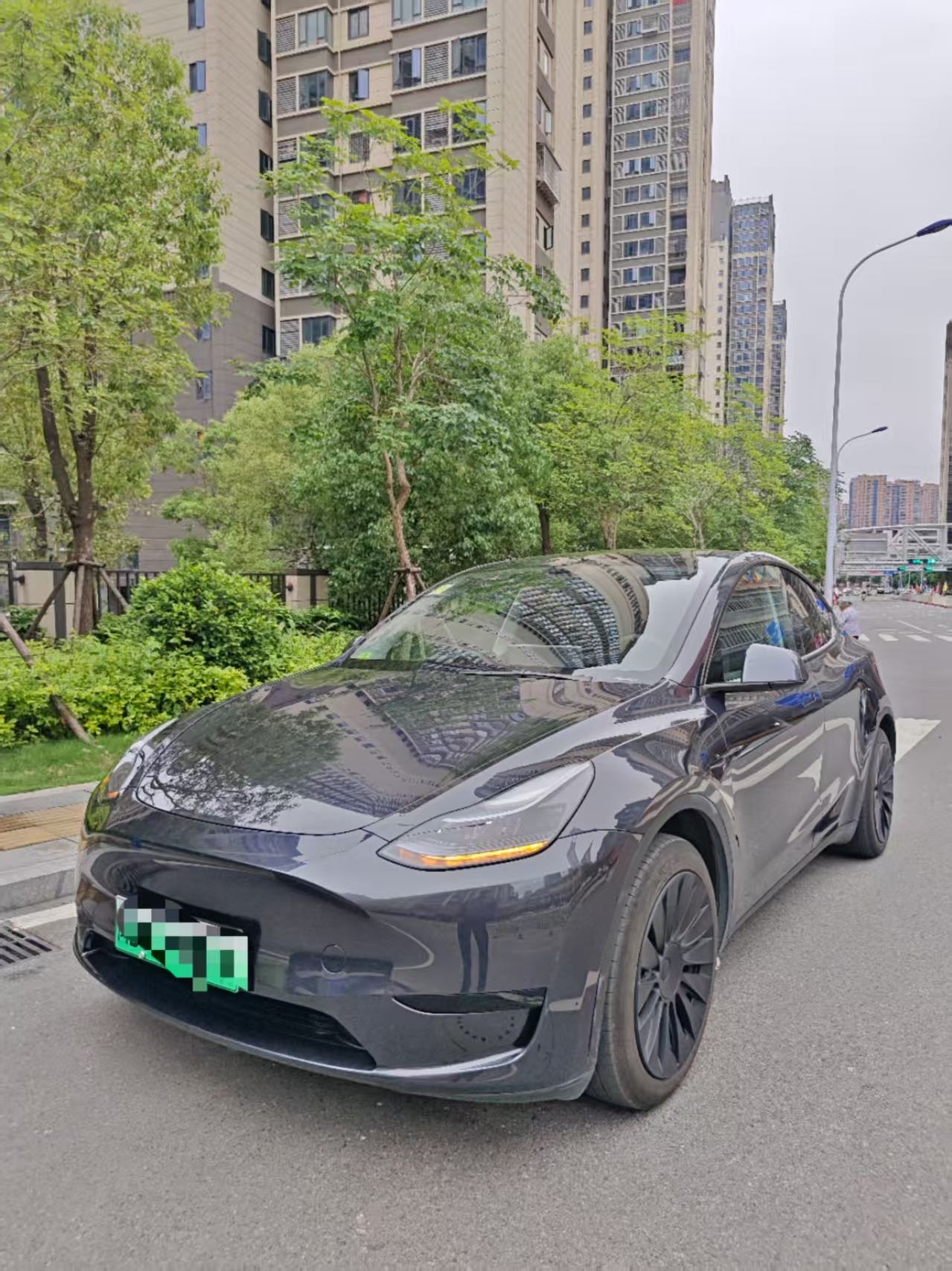 Tesla Model Y 2024 car image 