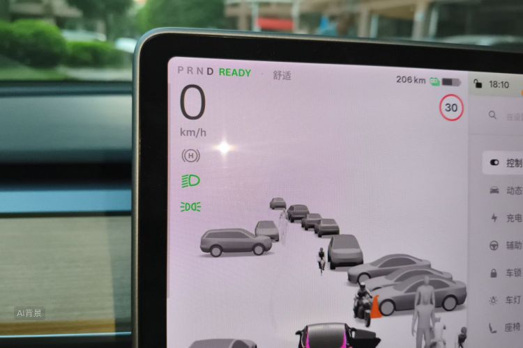 Tesla Model 3 2020 car image #13
