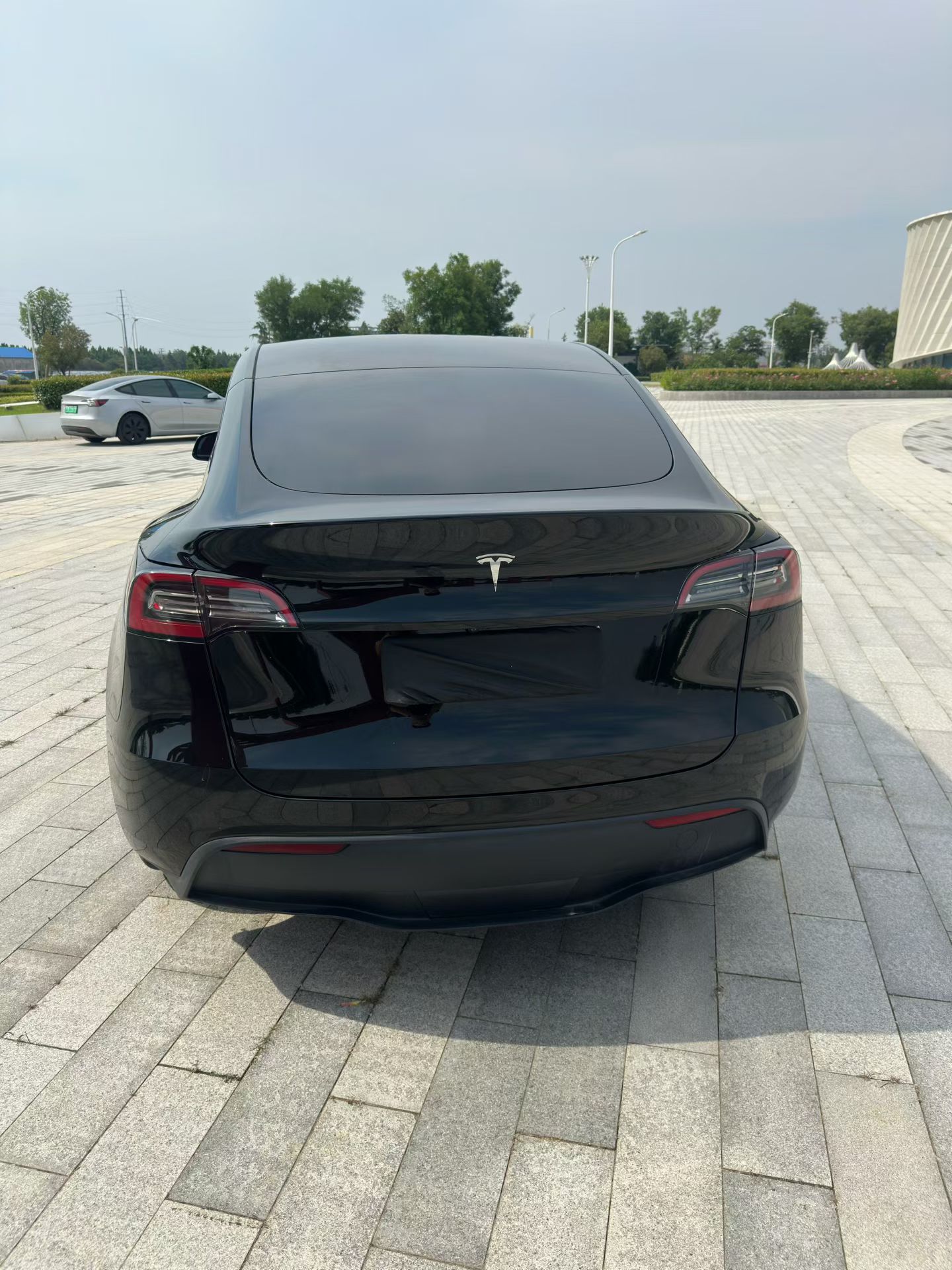 Tesla Model Y 2023 #7 Tesla Model Y 2023 car image #7