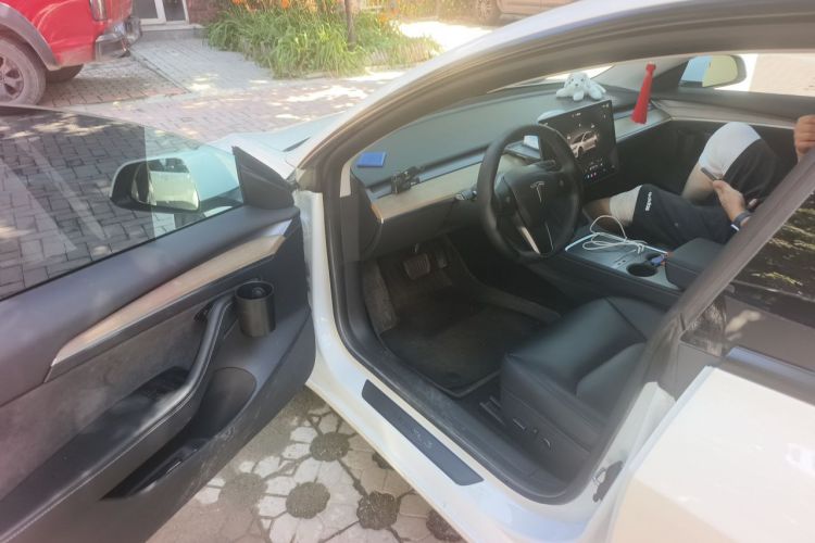 Tesla Model 3 2023 car image #13