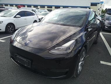 Tesla Model Y 2021 Tesla Model Y 2021 car image