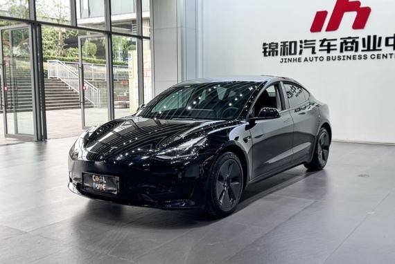 Tesla Model 3 2021 car image #13