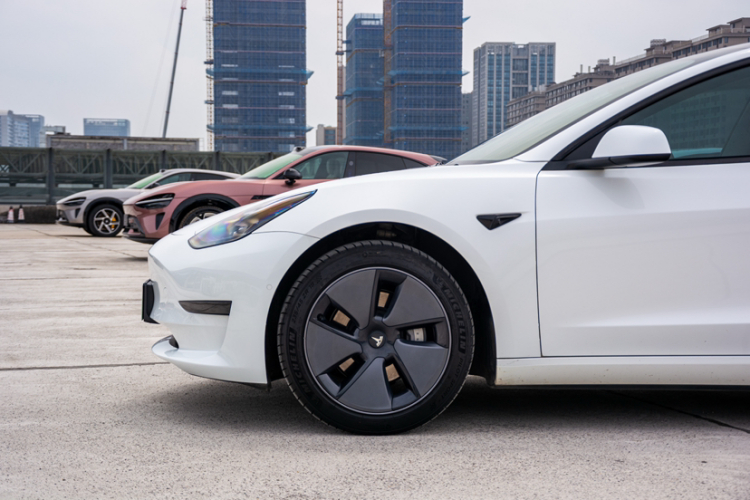 Tesla Model 3 2023 #5 Tesla Model 3 2023 car image #5