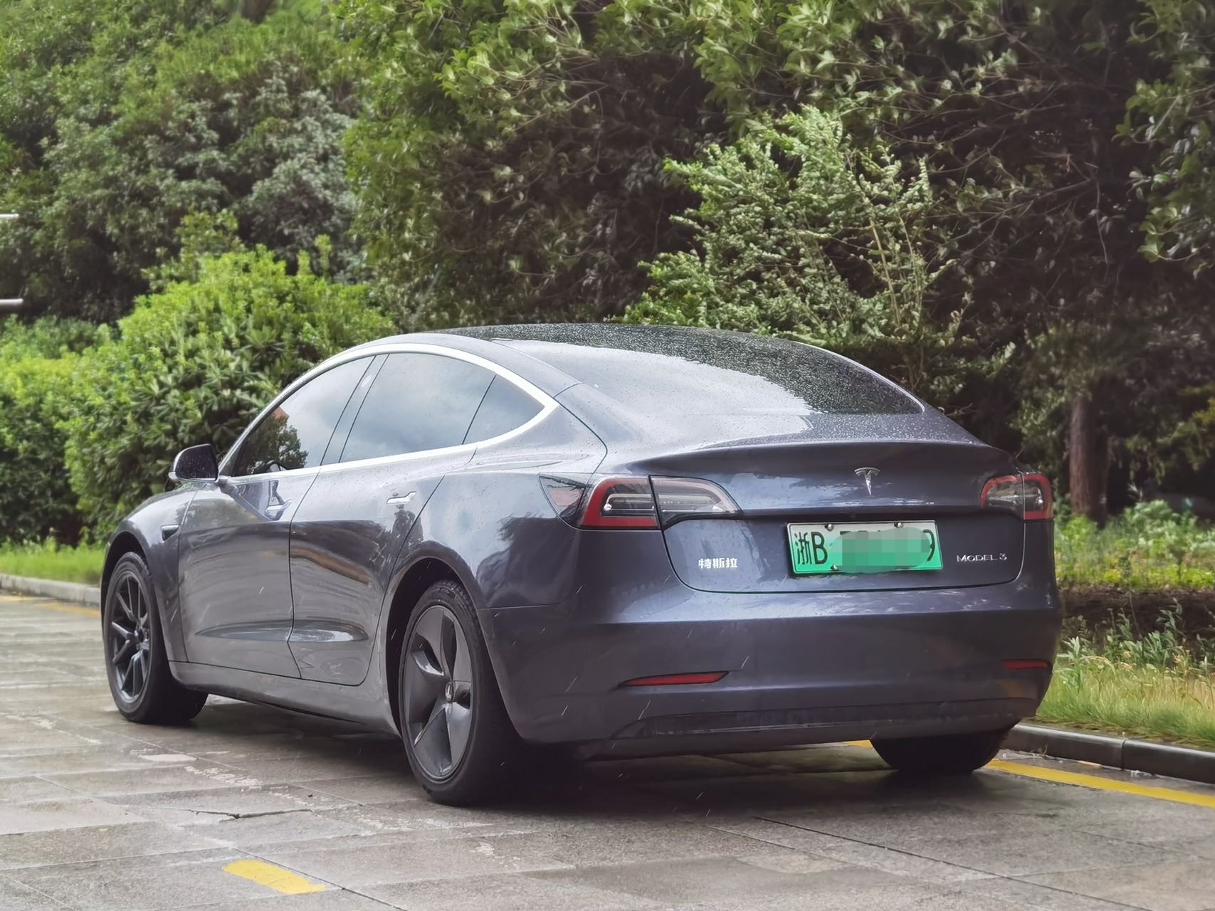 Tesla Model 3 2020 #8 Tesla Model 3 2020 car image #8