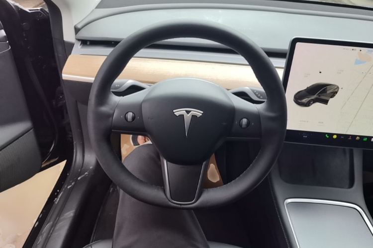 Tesla Model 3 2021 immagine di auto #11