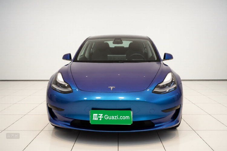 Tesla Model 3 2020 immagine di auto #3