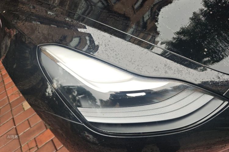 Tesla Model 3 2020 car image #8