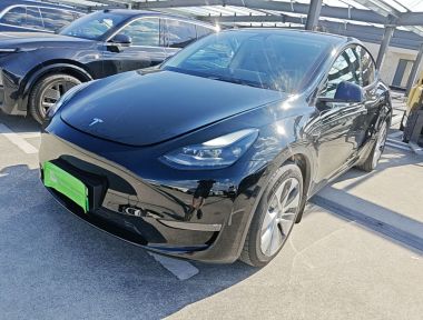 Tesla Model Y 2022 Tesla Model Y 2022 car image