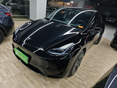 Tesla Model Y 2022 Tesla Model Y 2022 صورة سيارة
