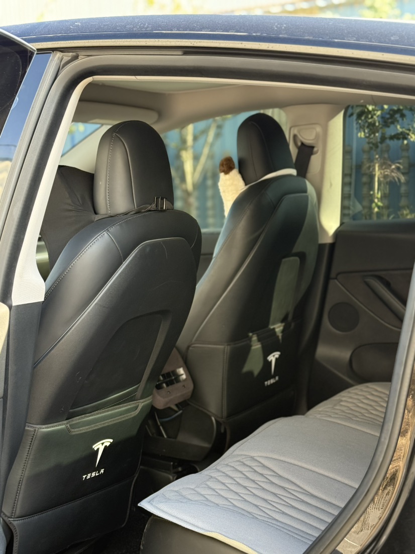 Tesla Model Y 2022 #5 Tesla Model Y 2022 car image #5