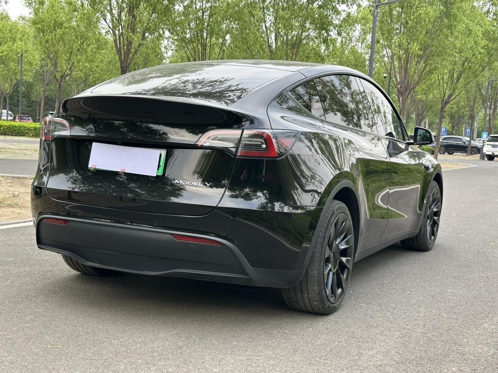 Tesla Model Y 2023 #6 Tesla Model Y 2023 car image #6
