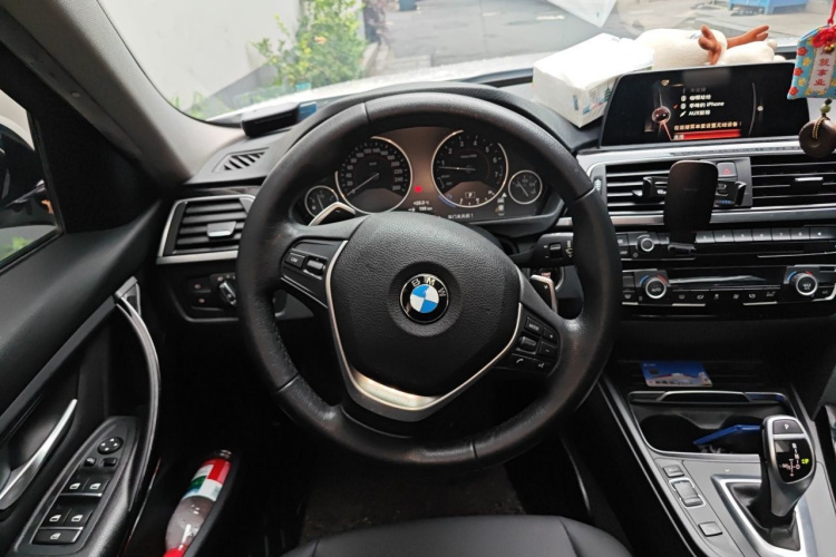 BMW 3 Series 2017 car image #11