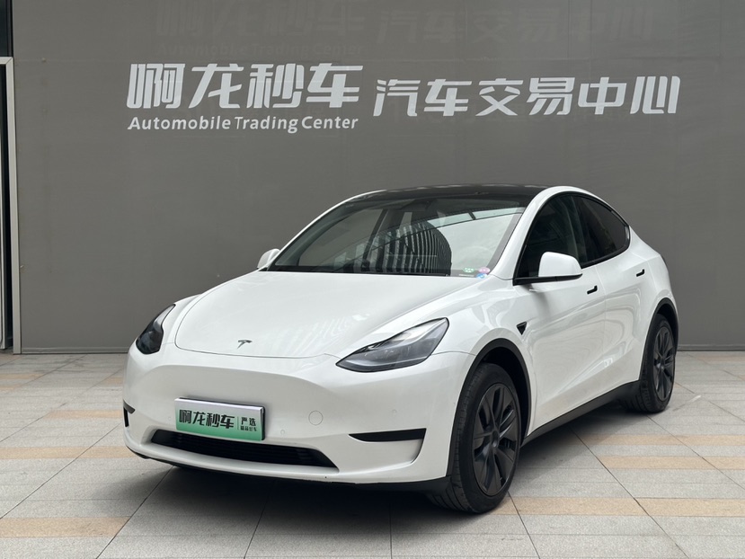 Tesla Model Y 2024 car image 