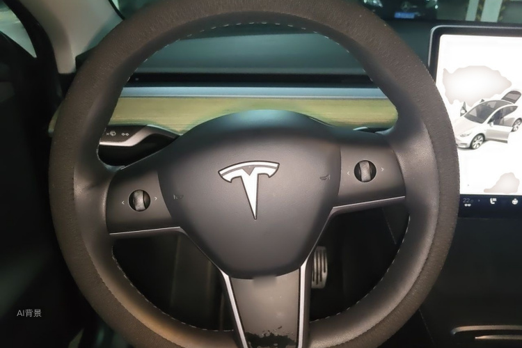 Tesla Model Y 2022 car image #12