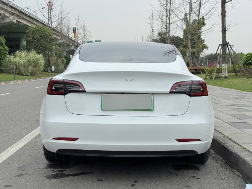 Tesla Model 3 2021 #8 Tesla Model 3 2021 car image #8