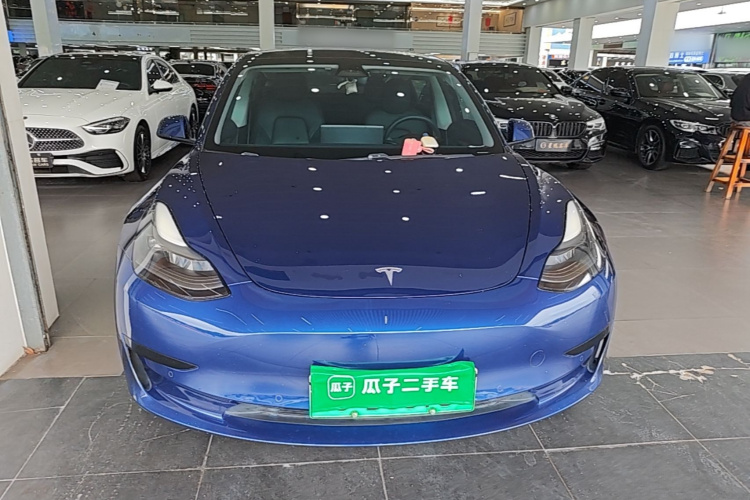 Tesla Model 3 2021 #3 Tesla Model 3 2021 car image #3
