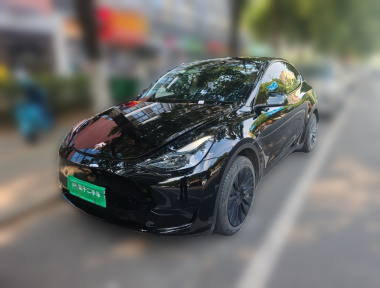 Tesla Model Y 2023 Tesla Model Y 2023 car image