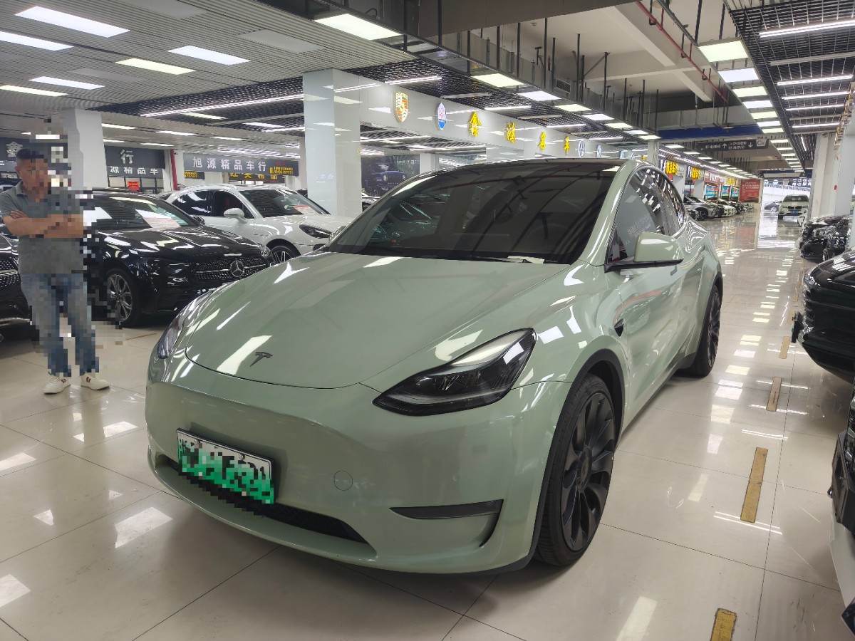 Tesla Model Y 2022 Tesla Model Y 2022 car image