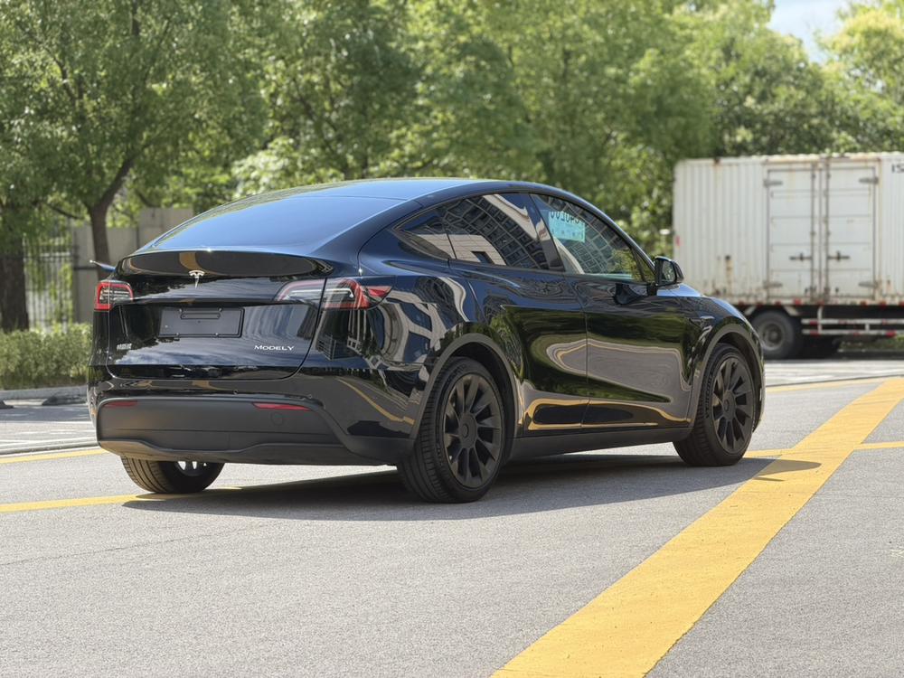 Tesla Model Y 2021 immagine di auto #6
