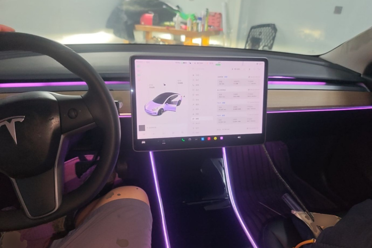 Tesla Model 3 2020 #11 Tesla Model 3 2020 car image #11