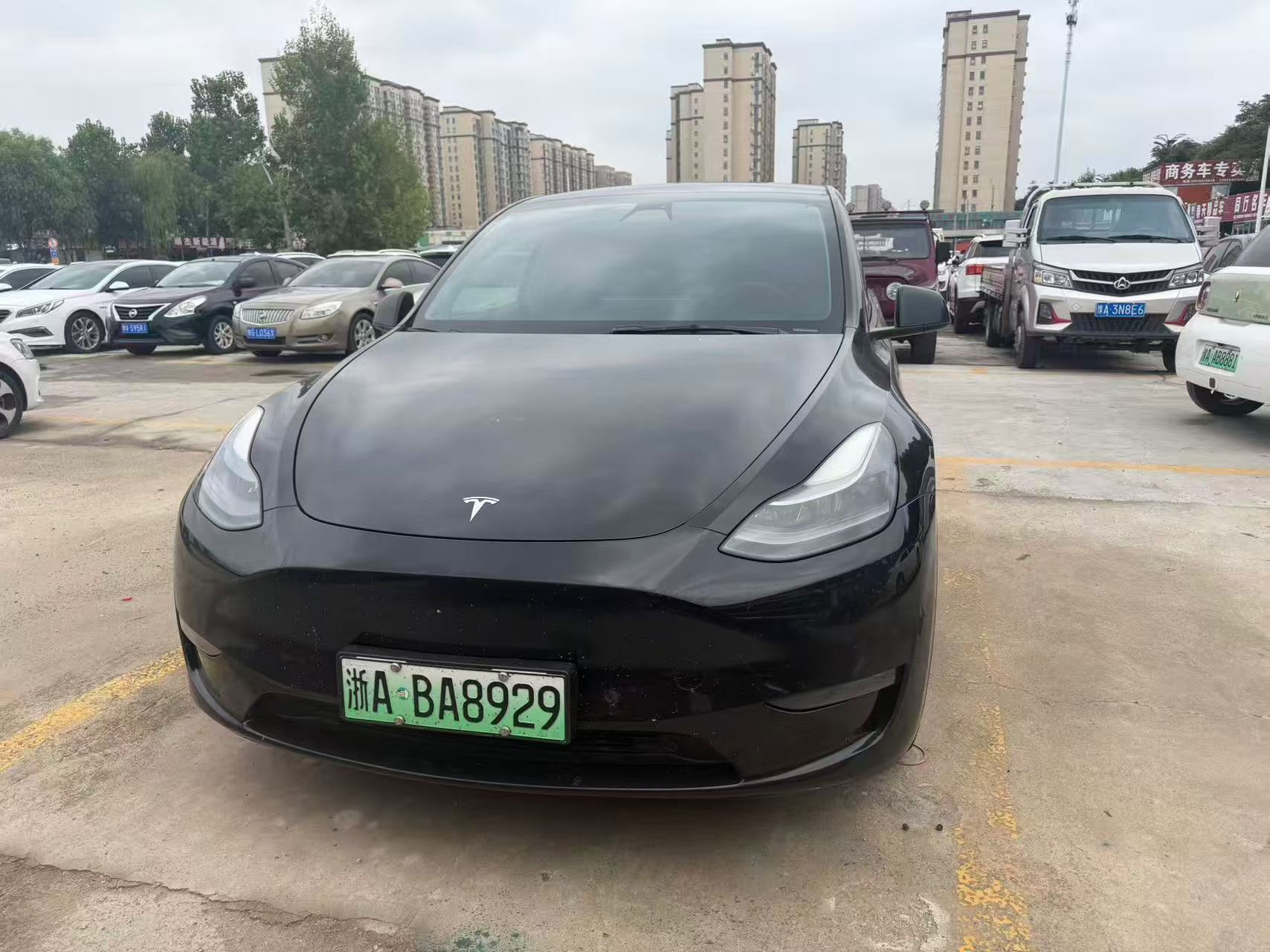 Tesla Model Y 2021 Tesla Model Y 2021 car image