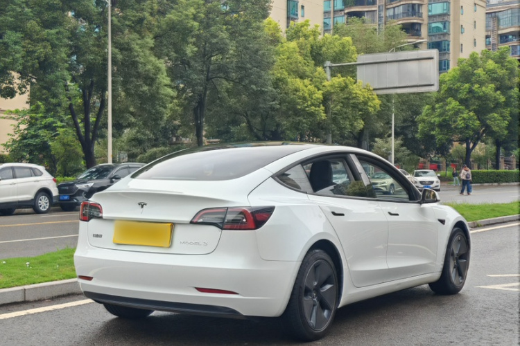 Tesla Model 3 2023 car image #6