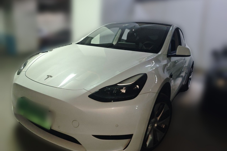 Tesla Model Y 2023 #2 Tesla Model Y 2023 car image #2
