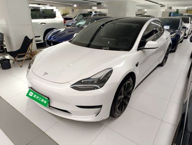 Tesla Model 3 2021 Tesla Model 3 2021 car image
