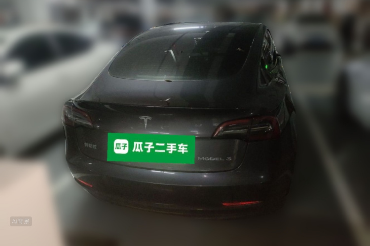 Tesla Model 3 2021 car image #6