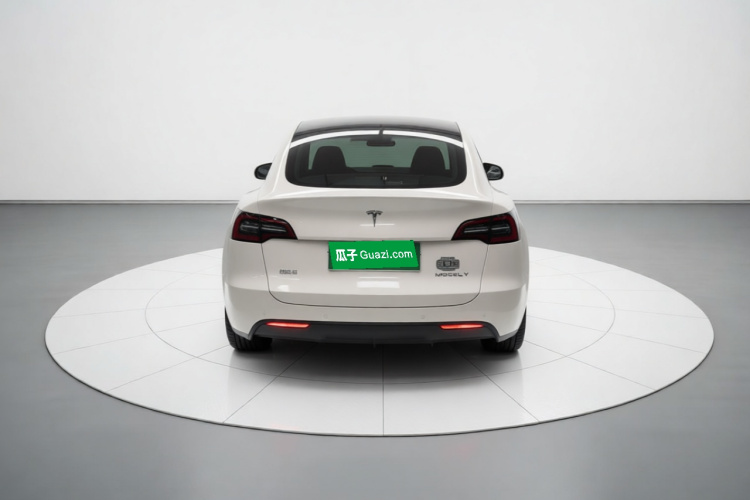 Tesla Model Y 2023 car image #6