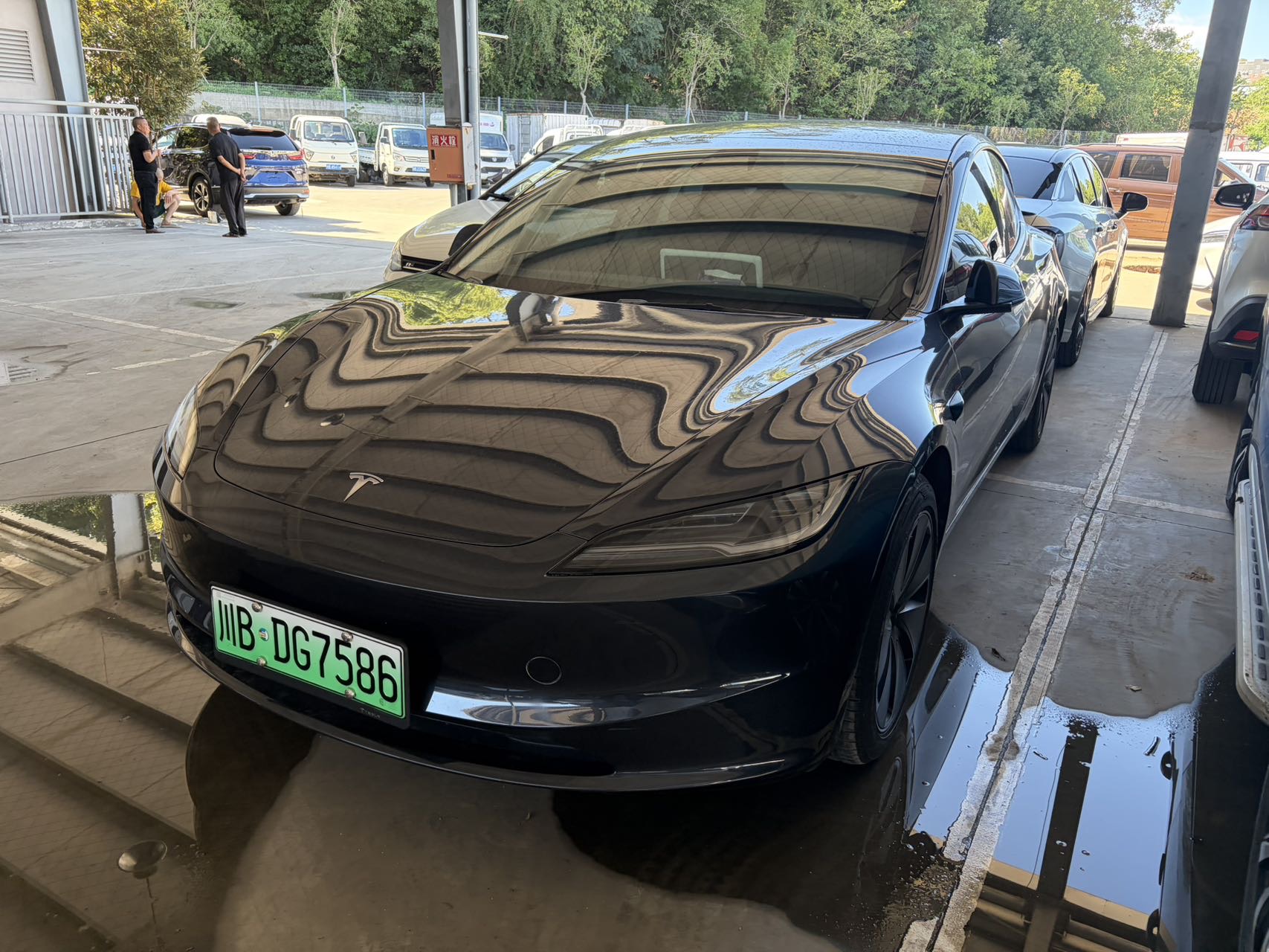 Tesla Model 3 2025 car image 
