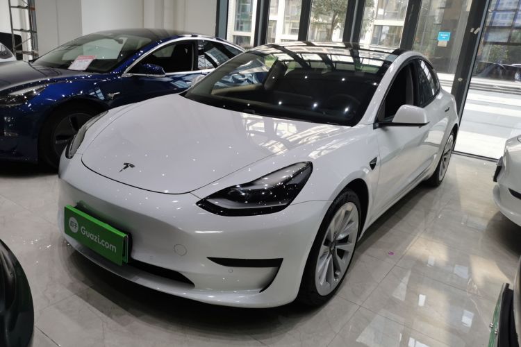 Tesla Model 3 2021 #2 Tesla Model 3 2021 car image #2