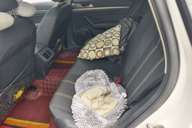 Volkswagen Lavida 2021 car image #10