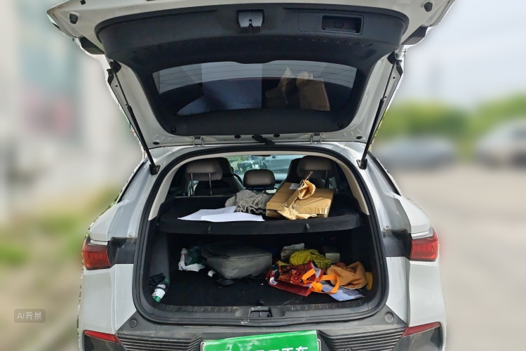 BYD Yuan Plus 2024 car image #21